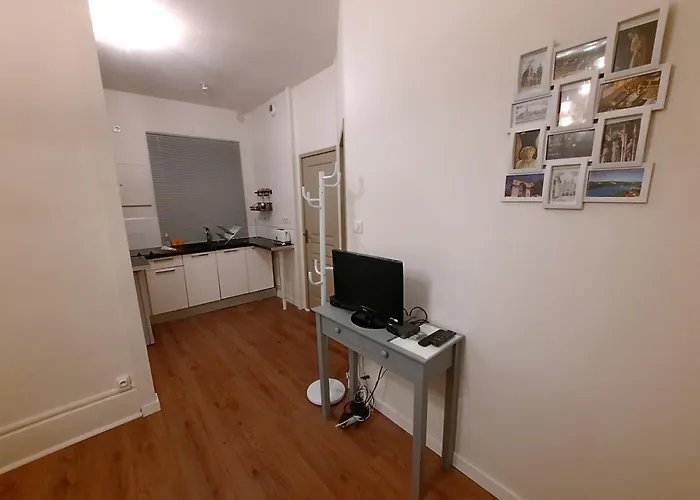 Le Hoche - 4 Personnes, 1 Ch, Proche Gare アパート ディジョン